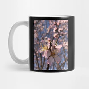 Spring season Mug